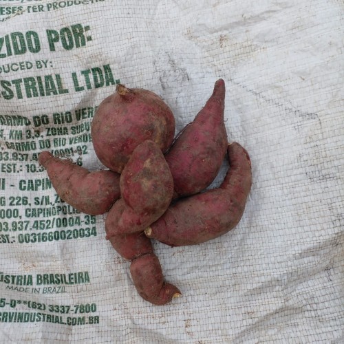 Sweet Potato-Wanni