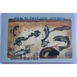 Een sloot vol vissen Een sloot vol vissen