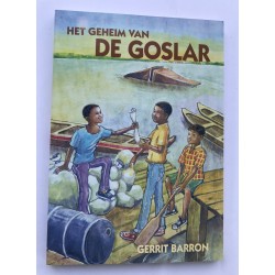 Het geheim van de Goslar